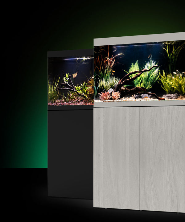 Waterbox Aquariums Freshwater and Saltwater Aquarium Systems