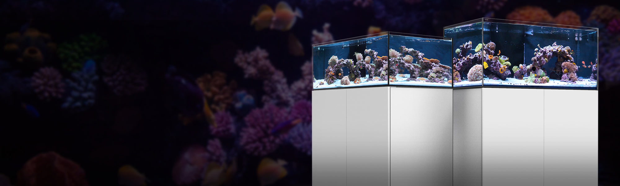 WaterboxAquarien Süßwasser und SalzwasserAquariensysteme