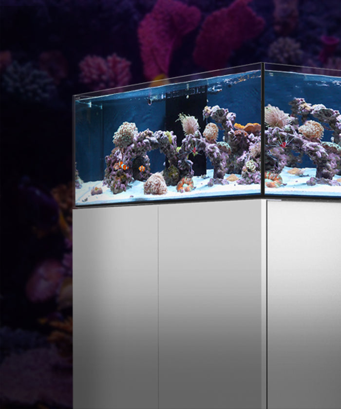 WaterboxAquarien Süßwasser und SalzwasserAquariensysteme