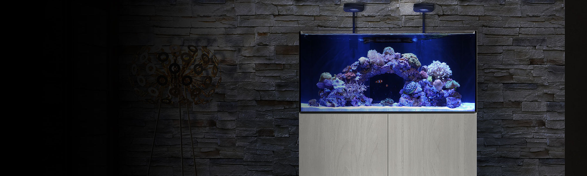 Waterbox Aquariums Freshwater and Saltwater Aquarium Systems