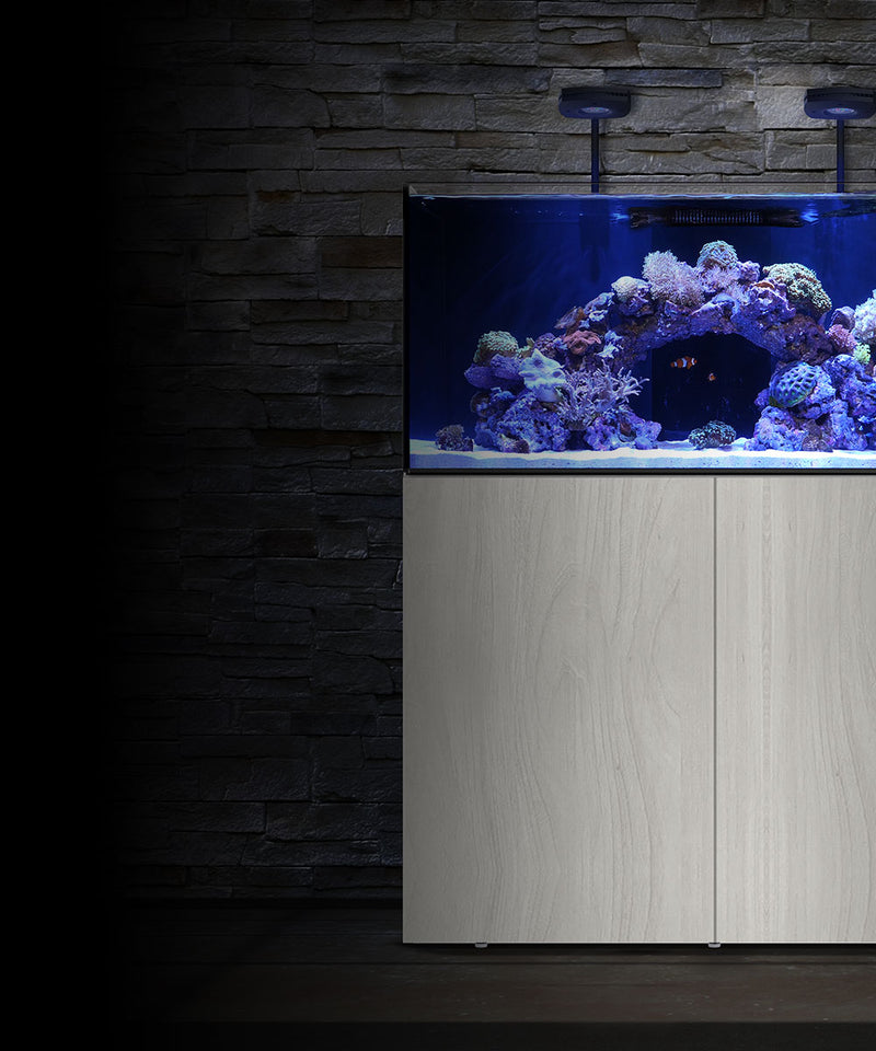 WaterboxAquarien Süßwasser und SalzwasserAquariensysteme