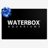 Waterbox-Geschenkkarte